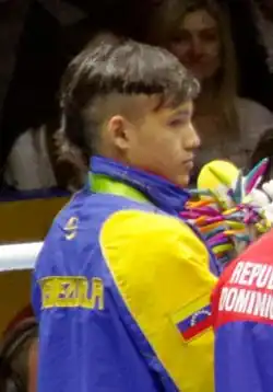 Image illustrative de l’article Yoel Finol