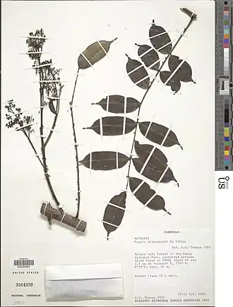 Description de cette image, également commentée ci-après