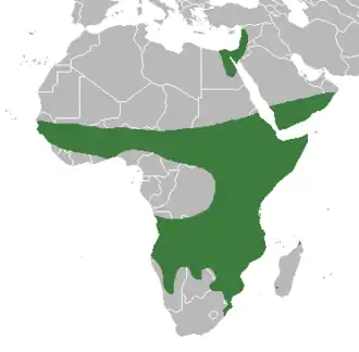 Description de cette image, également commentée ci-après