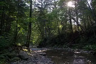 la rivière Zelemianka,