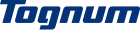 logo de Tognum