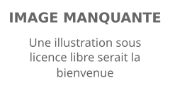 Image illustrative de l’article La Petite Bande