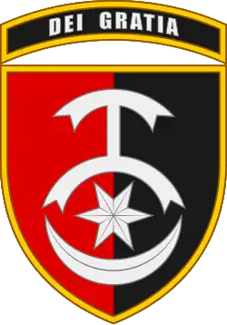 Image illustrative de l’article 30e brigade mécanisée