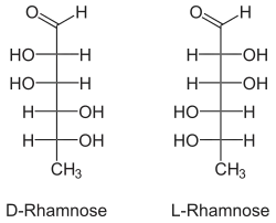 Image illustrative de l’article Rhamnose
