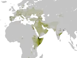 Description de l'image Distribution Haplogroup T Y-DNA II.svg.