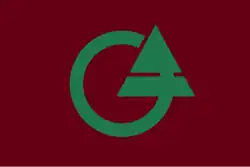 Drapeau de Chizu-chō