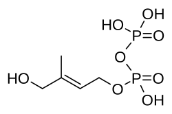 Image illustrative de l’article (E)-4-Hydroxy-3-méthyl-but-2-ényl-pyrophosphate