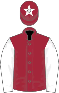 Image illustrative de l’article Pebbles