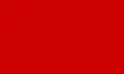 Image illustrative de l’article Combattants de la libération