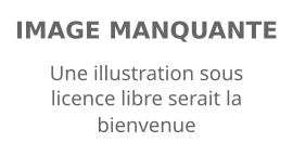 Image illustrative de l’article Patrick Baldwin Jr.