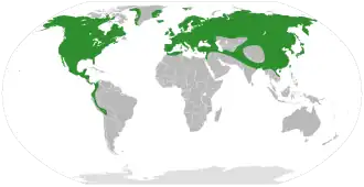 Description de l'image Alnus distribution.svg.