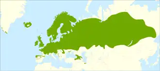 Description de l'image Betula pubescens range.svg.