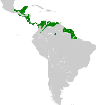 Description de l'image Contopus bogotensis map.svg.