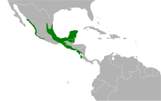 Description de l'image Crypturellus cinnamomeus map.svg.