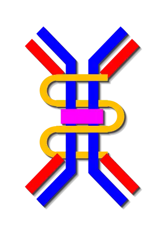 Description de cette image, également commentée ci-après