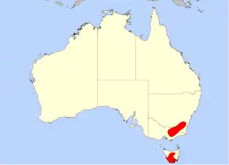 Description de l'image Drosera_arcturi.svg.