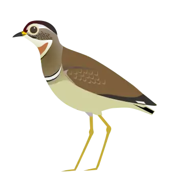 Description de cette image, également commentée ci-après