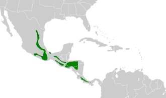 Description de l'image Lepidocolaptes affinis map.svg.