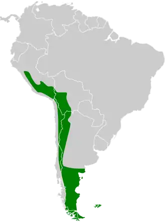 Description de l'image Lophonetta specularioides map.svg.