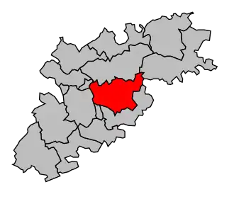 Canton de Nègrepelisse