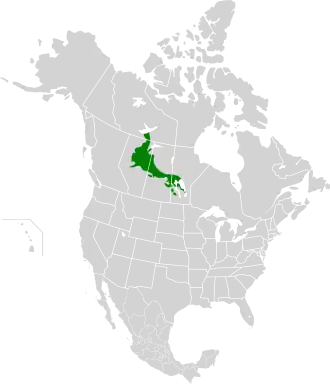 Description de l'image Mid-Continental Canadian forests map.svg.
