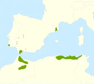 Description de l'image Quercus canariensis range.svg.