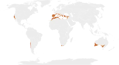 Description de l'image Biome_map_12.svg.