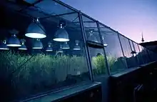 Photographie d'extérieur.