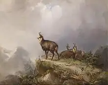 Peinture de plusieurs chamois à la montagne.