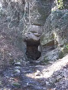 Photographie d'un aven dans le Chantoir de Rouge-Thier à Deigné, dans le système karstique du Vallon des Chantoires, Belgique.