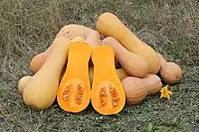 Photographie des courges orangées.