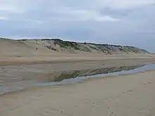 Photographie d’une mare naturelle sur une plage.