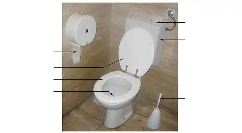 Toilettes européennes courantes