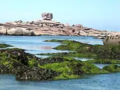 Platier rocheux fortement diaclasé, perturbé par un chaos de blocs émoussés (île Renote).