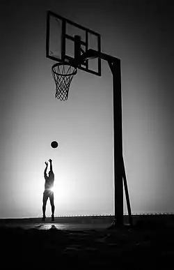 Image illustrative de l’article Frères (roman)