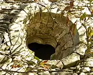 L'œil-de-bœuf trilobé.