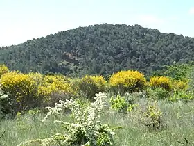 Image illustrative de l’article Oppidum de Pierredon à Éguilles