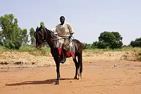Homme noir en selle sur une cheval noir