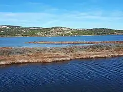 Étang de Gruissan secteur nord-ouest.