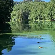 Étang du Donnenbach.