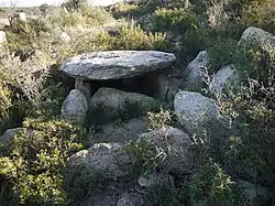 Image illustrative de l’article Dolmen dels Estanys III