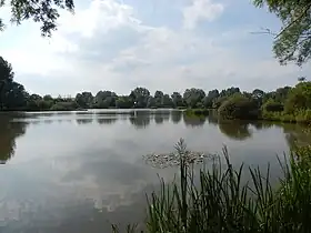 Image illustrative de l’article Étangs du Vélodrome