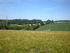 L'aval du fond des Greffes rencontrant les coteaux de la Brêche.