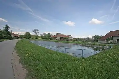 Étang à Újezd u Přelouče.