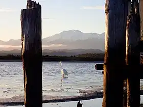 Image illustrative de l’article Lagune Okarito