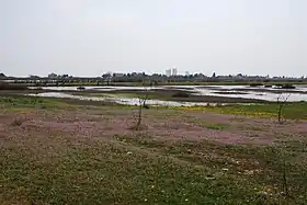 Image illustrative de l’article Ismarída