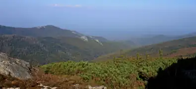 Le Sikhote-Aline dans le parc national Zov Tigra.
