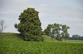 colline fortifiée classée.
