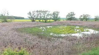 ozertsia de Boroukhiv, classée,