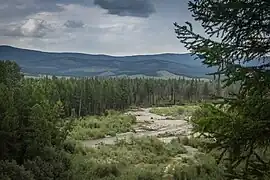 Taïga dans la bannière du Tchedi-Khol.